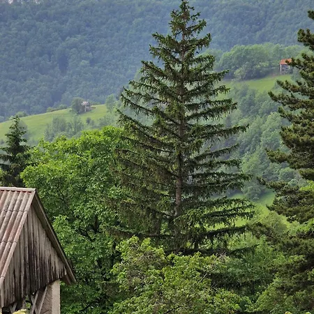 Holiday home Pocitniska Hisa Mlekarna Grant *